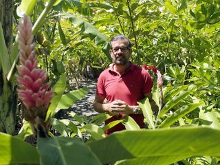 Traumgaerten auf La Réunion (1) Traumgaerten auf La Réunion (1)