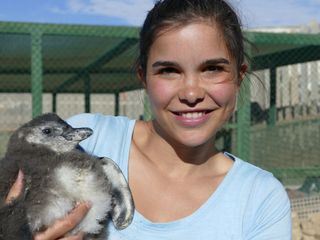 Anna und die wilden Tiere Anna und die wilden Tiere