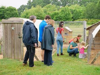Homegrown - Aus Liebe zum Garten