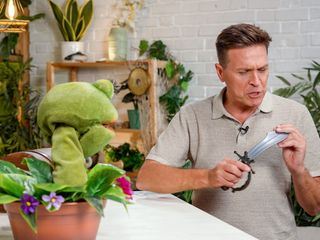 Die Gartenpiraten
