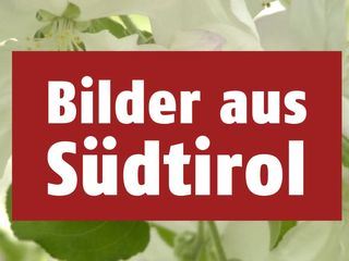 Bilder aus Suedtirol