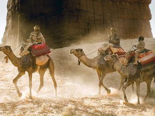 Oasen - Inseln des Lebens