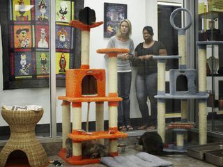 Zoophobia - Wenn Tiere Angst machen Zoophobia - Wenn Tiere Angst machen