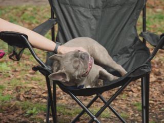 Homegrown - Aus Liebe zum Garten