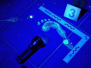 Medical Detectives - Geheimnisse der Gerichtsmedizin