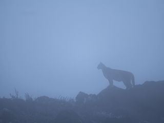 Ramses: Storia di un grande re