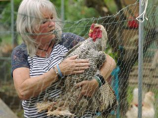 Huhn ist hip - Wolken ueber dem Huehnerparadies