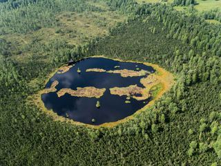 Das Moor