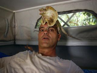 Wild Frank - Abenteuer in Australien