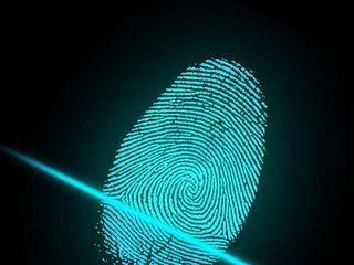 Dem Verbrechen auf der Spur