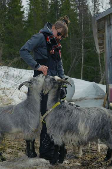 Med roetterna i snoen (meaenkieli)