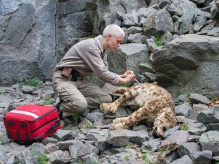 Tieraerztin Dr. Mertens