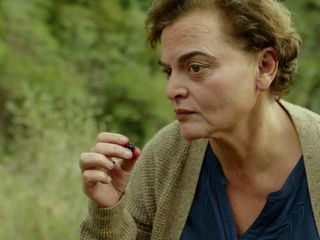 Amsel im Brombeerstrauch