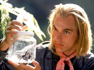 Arachnophobia - Acht Beine, zwei Faenge und ... Arachnophobia - Acht Beine, zwei Faenge und ...