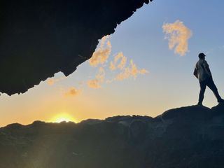 Giganten unter Wasser - Riesenfischen auf der Spur