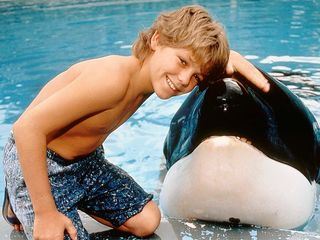 Free Willy - Ruf der Freiheit