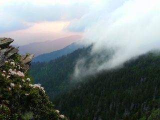 Amerikas Naturwunder (7/8): Great Smoky Mountains - Der Wald der Schwarzbaeren