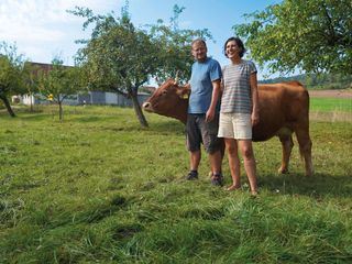 Lust aufs Land - Bayerische Hofgeschichten