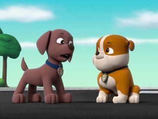 Paw Patrol: Helfer auf vier Pfoten Paw Patrol: Helfer auf vier Pfoten
