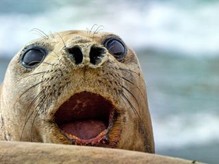 Argentinien: Land der Extreme