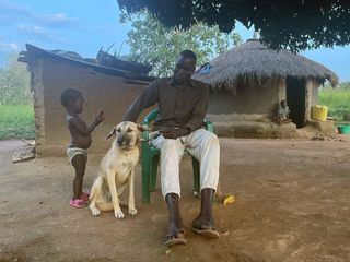 Uganda: Hunde der Hoffnung