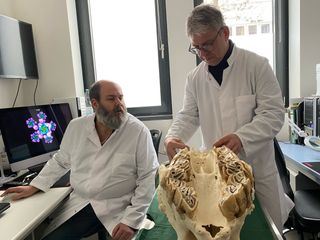 Rueckkehr der Mammuts? Die Wiederbelebung ausgestorbener Arten