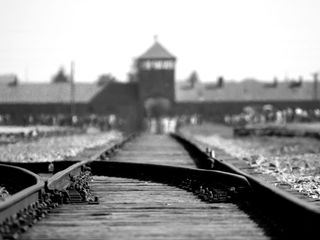 Der Holocaust: Die wahren Ausmasse Der Holocaust: Die wahren Ausmasse