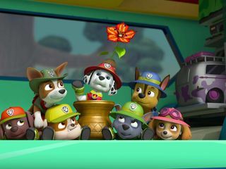 PAW Patrol - Helfer auf vier Pfoten