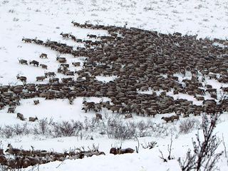 Highway zum Polarmeer Highway zum Polarmeer