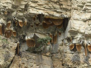 Reifepruefung extrem