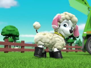 PAW Patrol - Helfer auf vier Pfoten