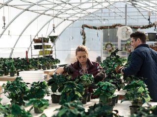 Zurueck zu den Weihnachtssternen Zurueck zu den Weihnachtssternen