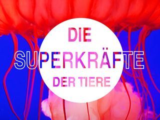 Die Superkraefte der Tiere