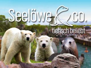Seeloewe & Co. - tierisch beliebt