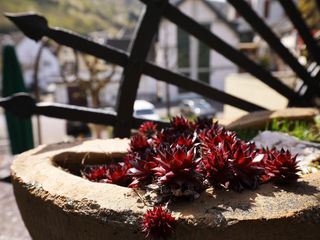 Expedition in die Heimat