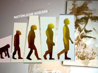 Wie gut sind unsere Gene?