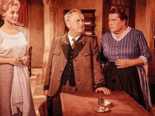 Die Lindenwirtin vom Donaustrand