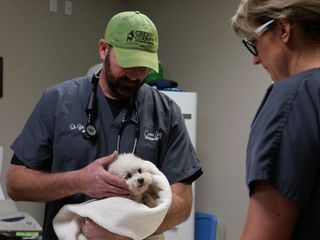 Heartland Docs - Die Tierarzt-Familie