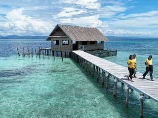 Gute Nachrichten vom Planeten