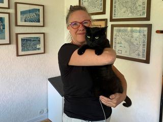 Das geheime Wesen der Katzen