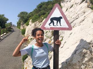 Pia und die wilden Tiere