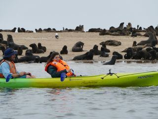 Anna und die wilden Tiere