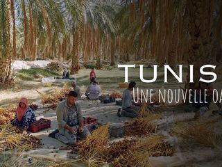 Tunesien - Eine Oase fuer die Zukunft