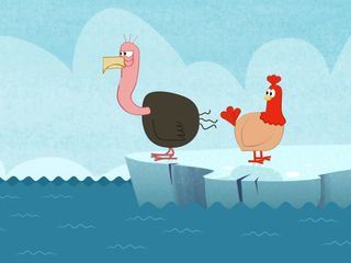 Das Huhn, die Katze und andere Tiere