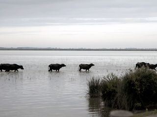 Die tuerkische Schwarzmeerkueste