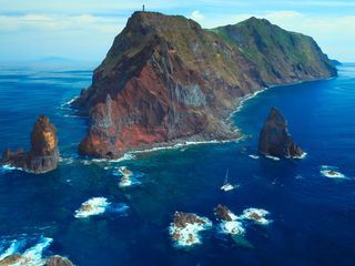 Delfine hautnah mit Bertie Gregory