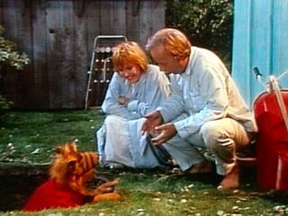ALF