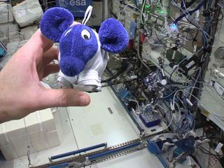 Die Sendung mit dem Elefanten