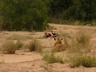 In die Hoehle des Loewen