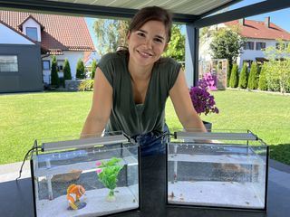 Anna und die Haustiere